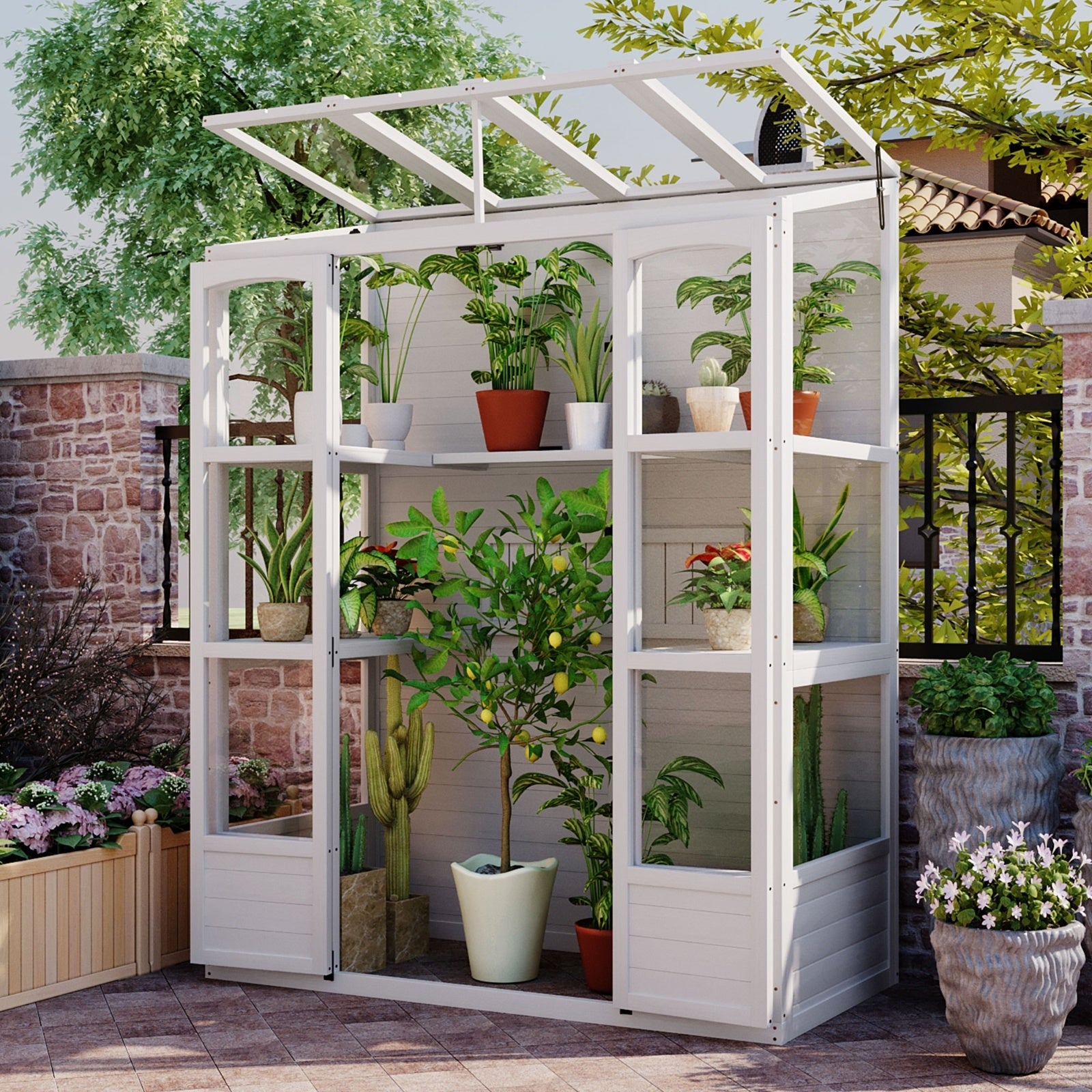 TOPMAX 78-inch Wooden Greenhouse Cold Frame With 4 Independent Skylights And 2 Folding Middle Shelve - Outdoor Chilling