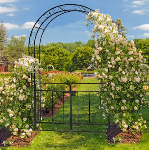 7ft, Black, Double-decked, Rounded Roof, With Door, Wrought Iron, Iron Arch, Courtyard - Outdoor Chilling