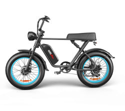 C91-20 Inch Dual-drive High-speed Electric Bike - Outdoor Chilling