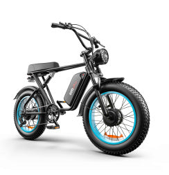 C91-20 Inch Dual-drive High-speed Electric Bike - Outdoor Chilling