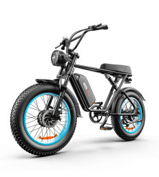C91-20 Inch Dual-drive High-speed Electric Bike - Outdoor Chilling