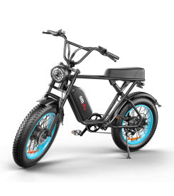 C91-20 Inch Dual-drive High-speed Electric Bike - Outdoor Chilling