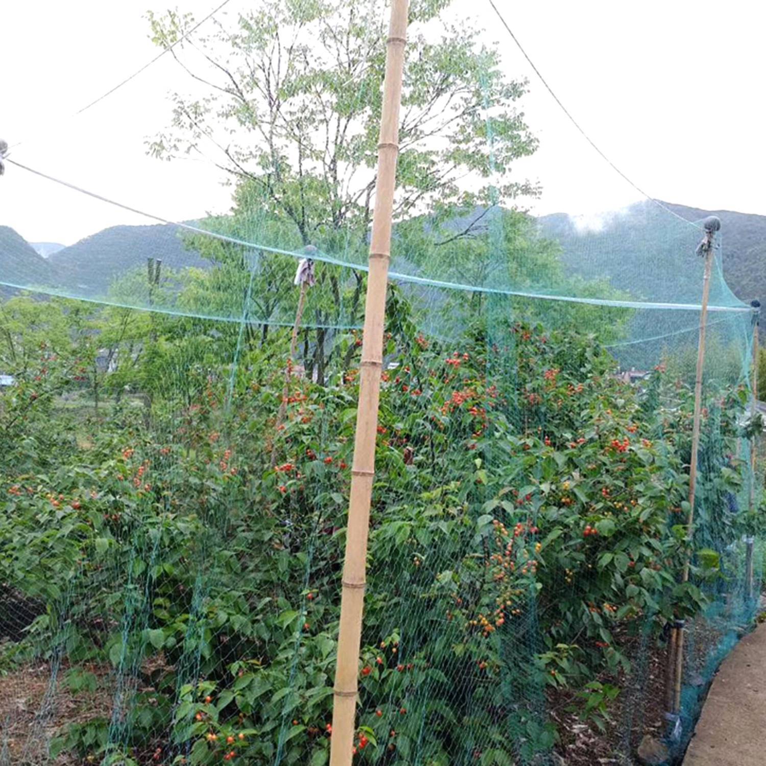 13 X 33ft Garden Netting Heavy Duty PE Anti Bird Netting Plants Fruits Tree Vegetables Protection Netting Net - Outdoor Chilling