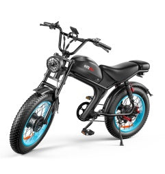 C93- Dual-drive High-speed Electric Bike - Outdoor Chilling