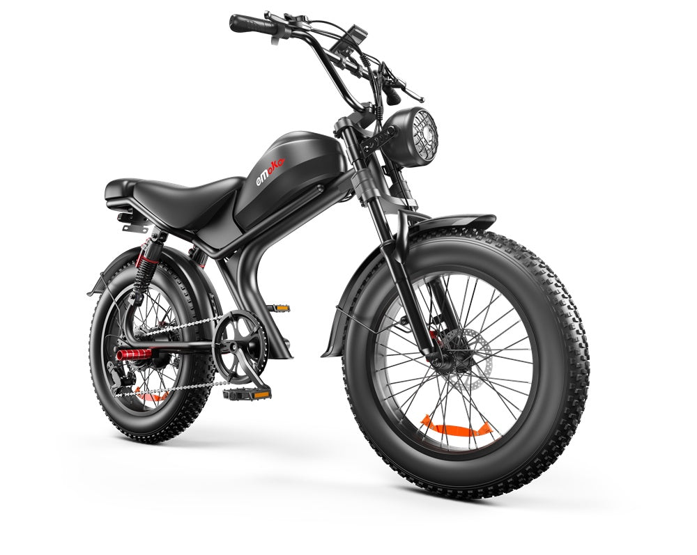 C93 - 20 Inch 20A Electric Bike - Outdoor Chilling