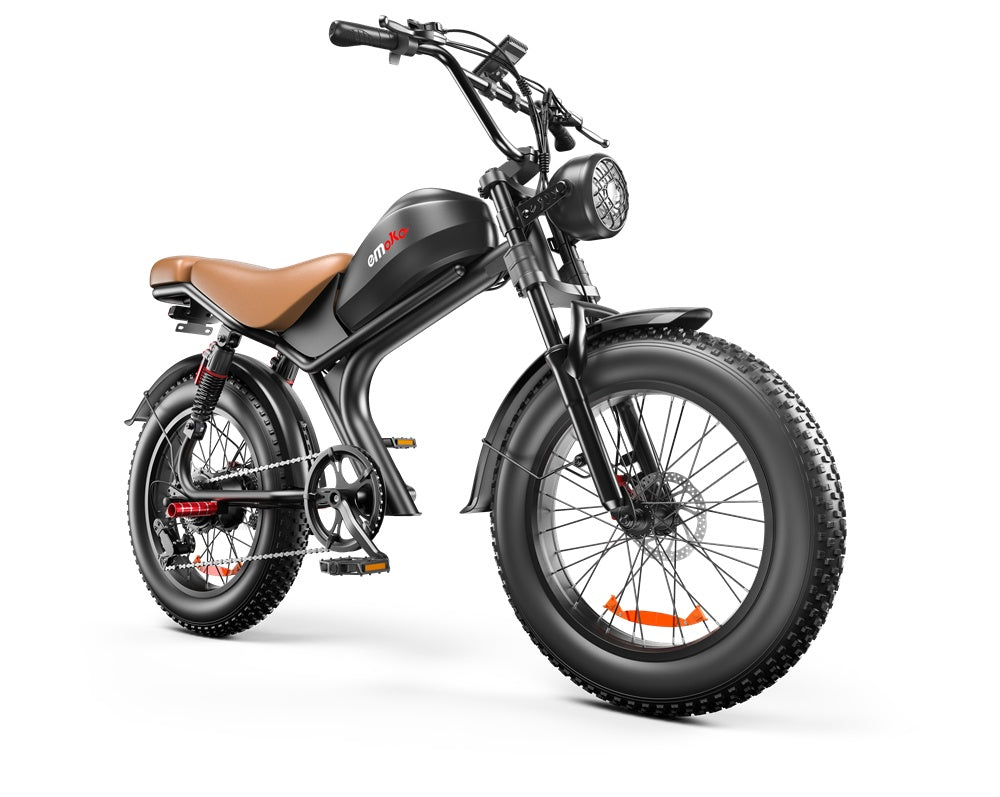C93 - 20 Inch 20A Electric Bike - Outdoor Chilling