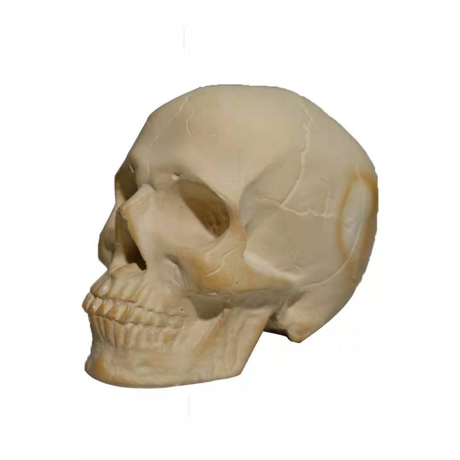 Skull Halloween Barbecue Fire Ornament Design Decoration - Outdoor Chilling
