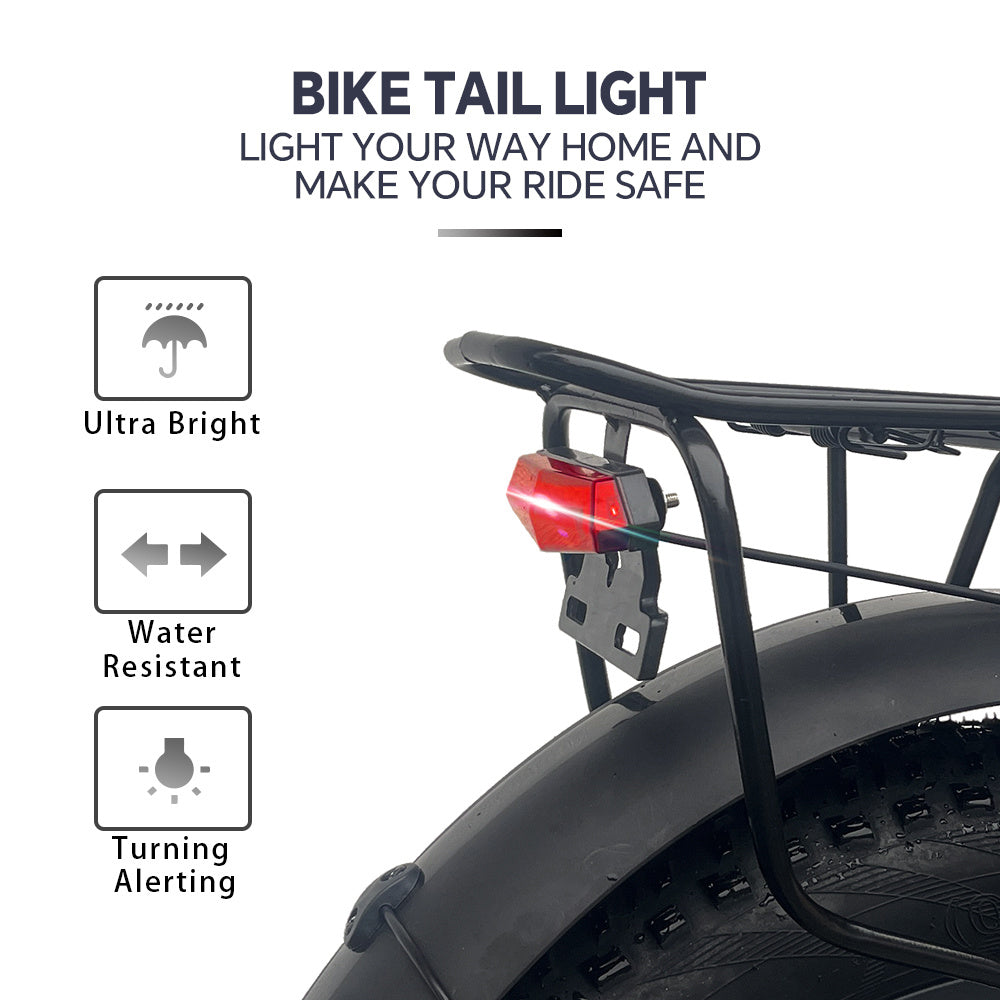 Fashion Simple Electric Bicycle - Outdoor Chilling