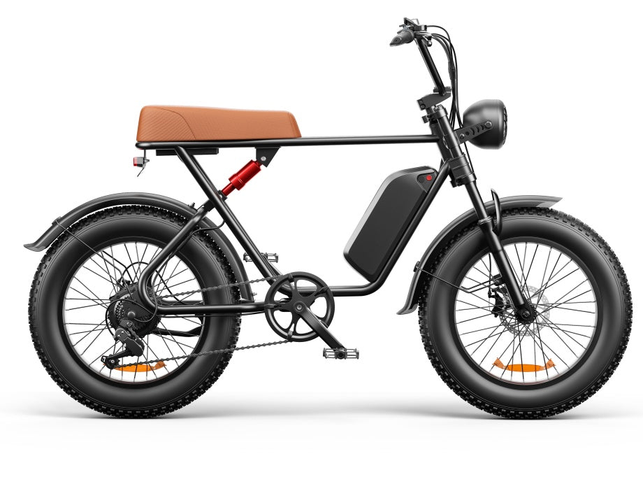 C91 - 20 Inch 20A Electric Bike ---- Purchase Style, Please Check The Details - Outdoor Chilling