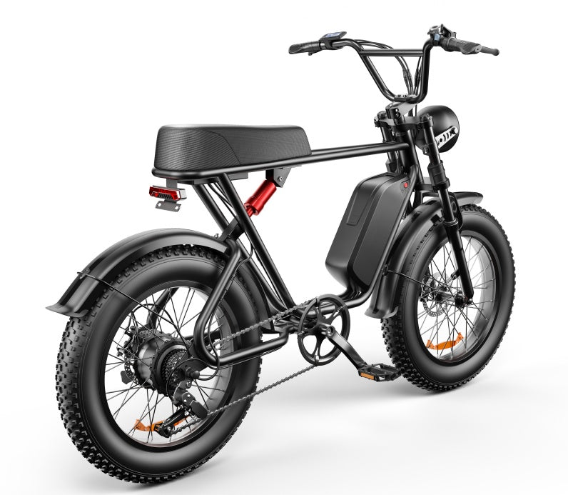 C91 - 20 Inch 20A Electric Bike ---- Purchase Style, Please Check The Details - Outdoor Chilling