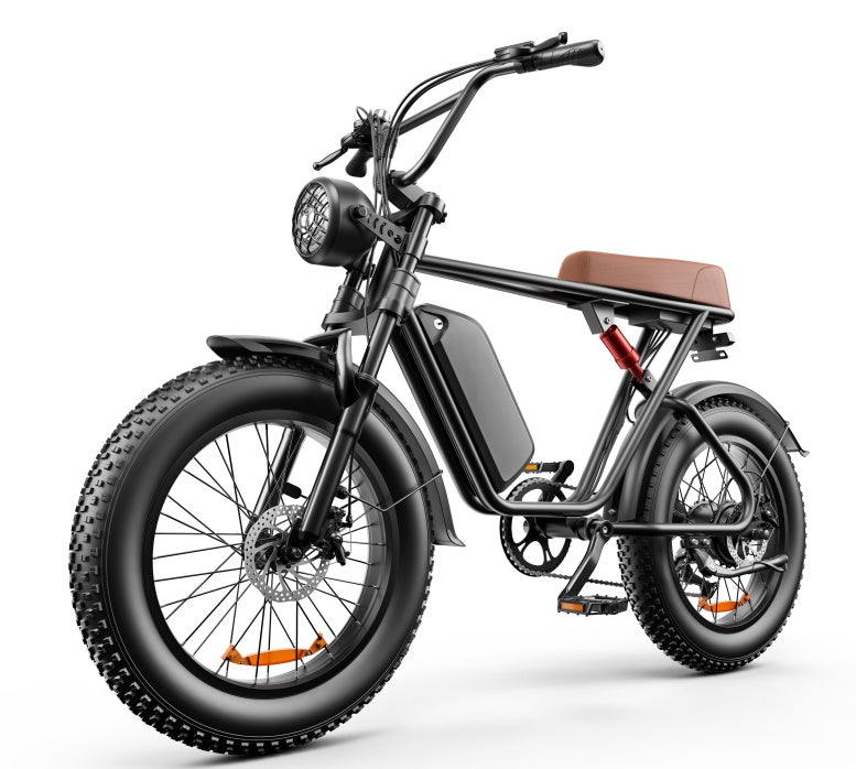 C91 - 20 Inch 20A Electric Bike ---- Purchase Style, Please Check The Details - Outdoor Chilling
