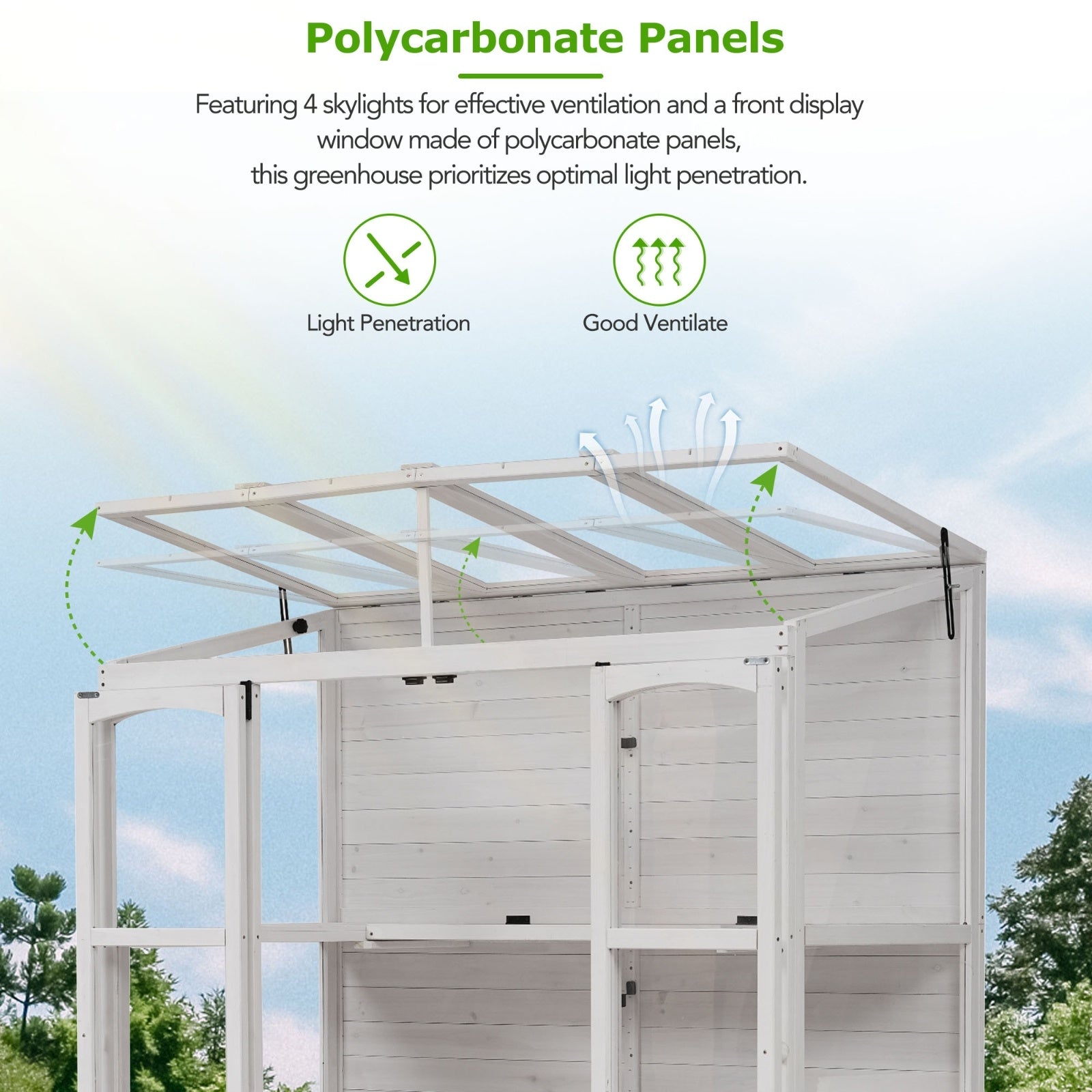 TOPMAX 78-inch Wooden Greenhouse Cold Frame With 4 Independent Skylights And 2 Folding Middle Shelve - Outdoor Chilling