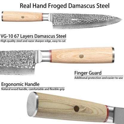 Damascus Chef Knife, 8 Inch Japanese Kitchen Knife With 67 Layers 10CR15MOV High Carbon Steel, Razor Sharp Cooking Knife With Pakkawood Handle