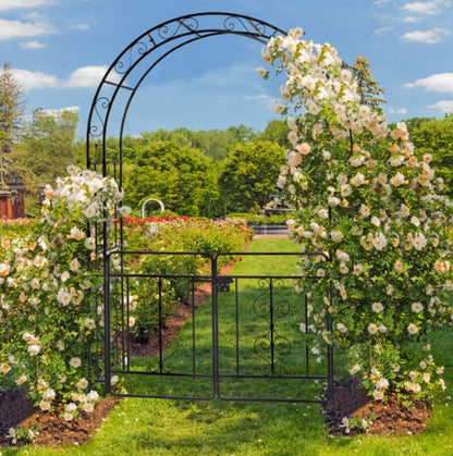 7ft, Black, Double-decked, Rounded Roof, With Door, Wrought Iron, Iron Arch, Courtyard