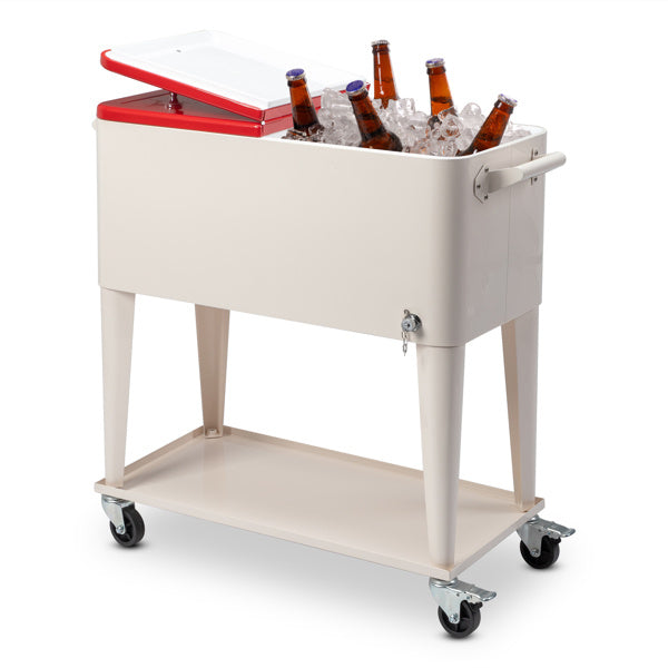 Refrigeration And Insulation Trolley 87.5x38.5x91cm Rectangular Plastic Box Iron Leg Tube Freezer And Insulation