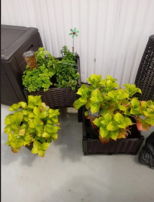 Raised Garden Bed With Legs, Self-Watering Planter Box Raised Bed To Grow Flowers