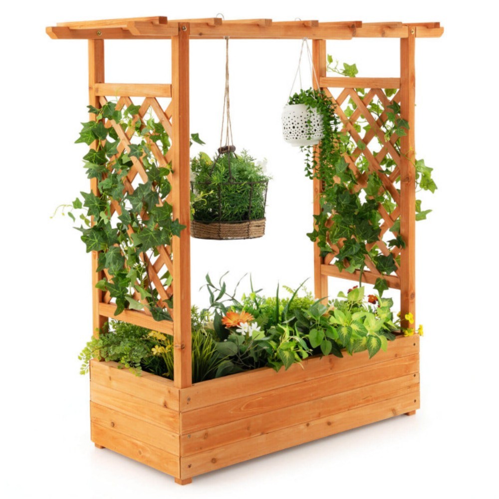 Raised Garden Bed With Trellis Or Climbing Plant And Hanging Roof - Outdoor Chilling