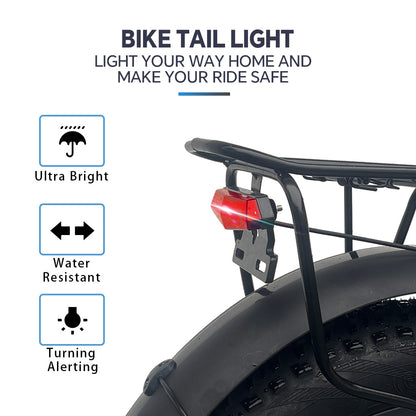 Fashion Simple Electric Bicycle - Outdoor Chilling