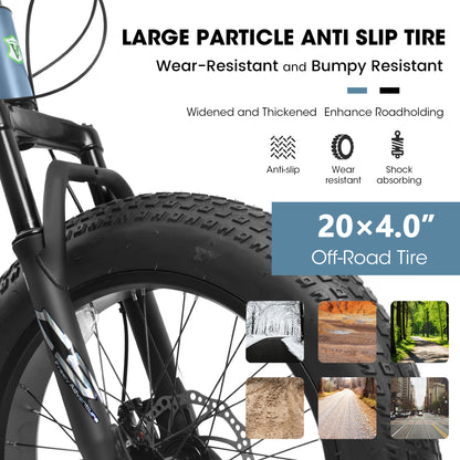 V20235 20 Inch Fat Tire Bike 7 Speed Mountain Bike, Dual Disc Brakes, High Carbon Steel Frame, Front Suspension, Mountain Buggy, City Commuter City Bike, Fat Tire Bike