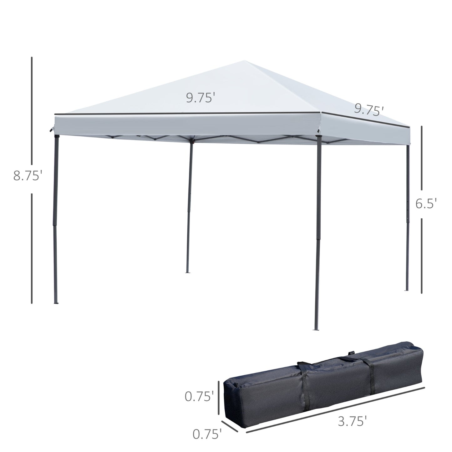 10' X 10' Pop Up Canopy Tent With Netting, Instant Gazebo, Ez Up Screen House Room With Carry Bag, H
