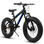 V20235 20 Inch Fat Tire Bike 7 Speed Mountain Bike, Dual Disc Brakes, High Carbon Steel Frame, Front Suspension, Mountain Buggy, City Commuter City Bike, Fat Tire Bike