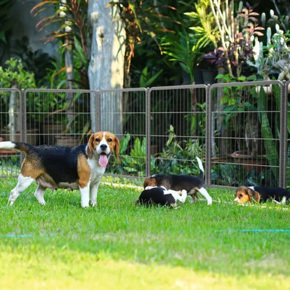 16 Panels Dog Playpen For Outdoor,yard,camping,31.6Height Dog Fence With 2 Doors.