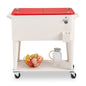 Refrigeration And Insulation Trolley 87.5x38.5x91cm Rectangular Plastic Box Iron Leg Tube Freezer And Insulation