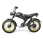 C93- Dual-drive High-speed Electric Bike